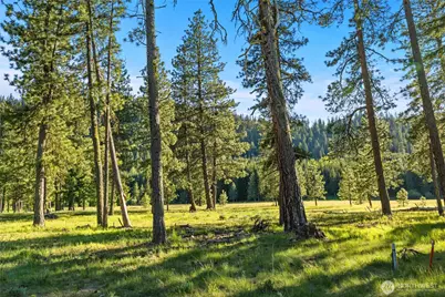 20 Domerie Park Loop, Cle Elum, WA 98922 - Photo 5