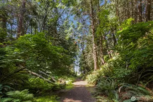 261 Dennis Blvd, Port Townsend, WA 98368 - Photo 37