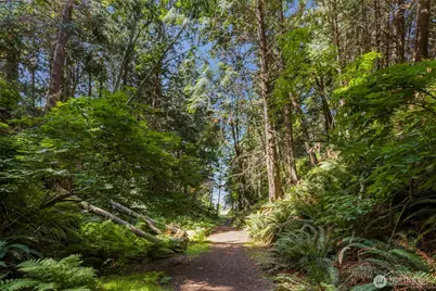 261 Dennis Boulevard, Port Townsend, WA 98368 - Photo 33