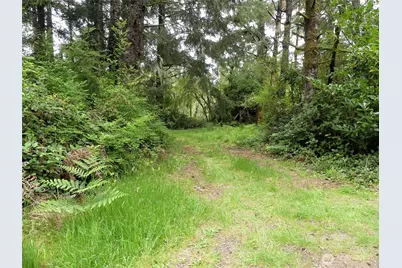 14001 Birch Street, Long Beach, WA 98631 - Photo 3