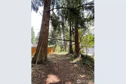17616 SE Vine Ln, Yelm, WA 98597 - Photo 3