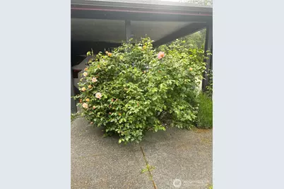 431 Fasola, Sequim, WA 98382 - Photo 3