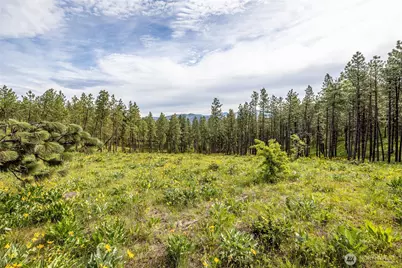 329 First Grade Road, Leavenworth, WA 98826 - Photo 23