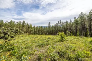 329 First Grade Rd, Leavenworth, WA 98826 - Photo 23