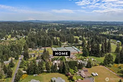 9039 176th Avenue SW, Rochester, WA 98579 - Photo 37