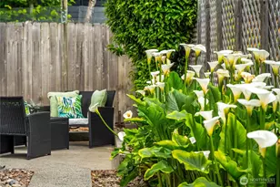 1716 N 43rd St, Seattle, WA 98103 - Photo 29