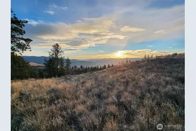 0 Blue Grouse (Div 5, Lot 42), Oroville, WA 98844 - Photo 3