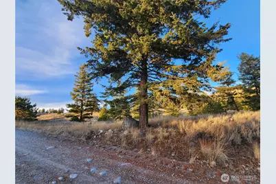 0 Blue Grouse (Div 5, Lot 42), Oroville, WA 98844 - Photo 11