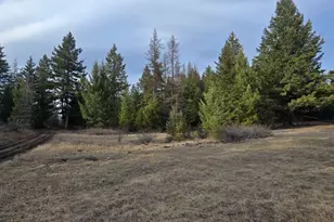 99 Prior Loop Rd, Oroville, WA 98844 - Photo 1