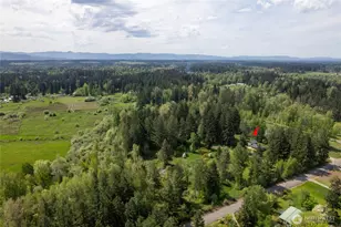 422 336th St E, Roy, WA 98580 - Photo 37