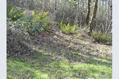 0 Horizon Drive #Lot 3, Kalama, WA 98625 - Photo 3