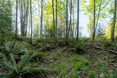 405 Elk Run Trail, Port Angeles, WA 98362 - Photo 11