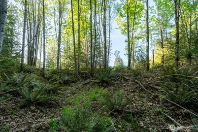 405 Elk Run Trail, Port Angeles, WA 98362 - Photo 17