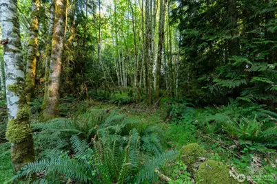 405 Elk Run Trail, Port Angeles, WA 98362 - Photo 9