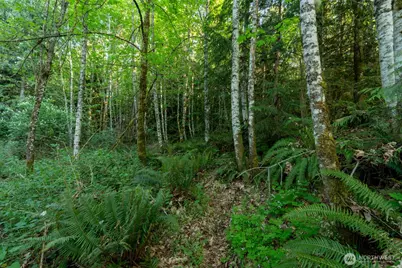 405 Elk Run Trail, Port Angeles, WA 98362 - Photo 13