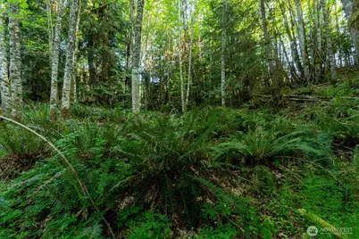 405 Elk Run Trail, Port Angeles, WA 98362 - Photo 15
