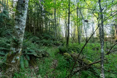 405 Elk Run Trail, Port Angeles, WA 98362 - Photo 7