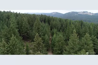 111 Tbd Wannamaker Rd, Oroville, WA 98844 - Photo 11
