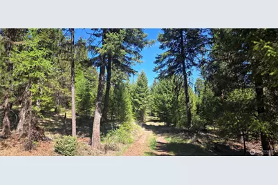 111 Tbd Wannamaker Rd, Oroville, WA 98844 - Photo 3