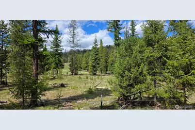790 Bonaparte Lake Rd, Tonasket, WA 98855 - Photo 37