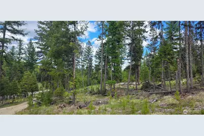 790 Bonaparte Lake Rd, Tonasket, WA 98855 - Photo 29
