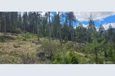 790 Bonaparte Lake Rd, Tonasket, WA 98855 - Photo 25