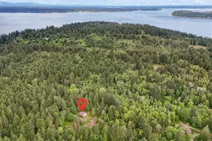 11508 Claussen Rd, Anderson Island, WA 98303 - Photo 13