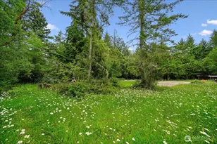 11508 Claussen Rd, Anderson Island, WA 98303 - Photo 39