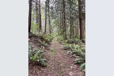 1 Xxxx SE 51st Street, Preston, WA 98050 - Photo 5