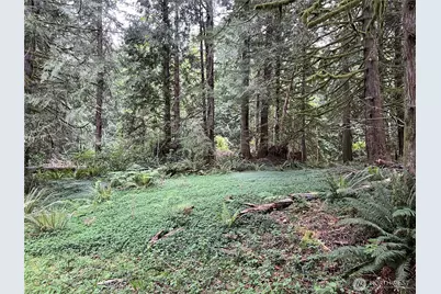 1 Xxxx SE 51st Street, Preston, WA 98050 - Photo 9