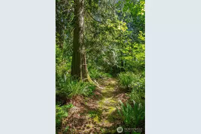 12410 80th Street SE, Snohomish, WA 98290 - Photo 29