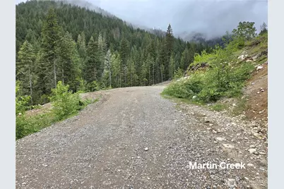 6710 6710 Martin Creek, Skykomish, WA 98288 - Photo 1