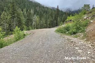 6710 6710 Martin Creek, Skykomish, WA 98288 - Photo 1