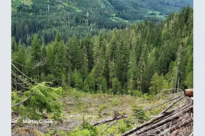 6710 6710 Martin Creek, Skykomish, WA 98288 - Photo 3