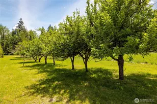 60982 Dexter Ln, Marblemount, WA 98267 - Photo 37