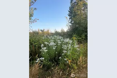 7006 State Route 20, Anacortes, WA 98221 - Photo 11