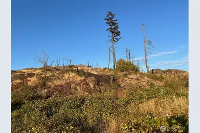 7006 State Route 20, Anacortes, WA 98221 - Photo 15