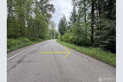 0 312th Avenue NE, Carnation, WA 98014 - Photo 3