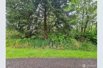 0 Patricia Drive, Copalis Beach, WA 98535 - Photo 3