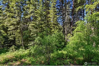 2486 Chiwawa Loop Road, Leavenworth, WA 98826 - Photo 17