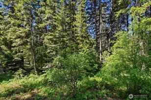 2486 Chiwawa Loop Road, Leavenworth, WA 98826 - Photo 17