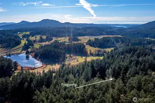 276 Elderberry Ln, Orcas Island, WA 98245 - Photo 33