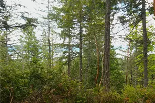0 Yashi Rd, Brinnon, WA 98320 - Photo 1