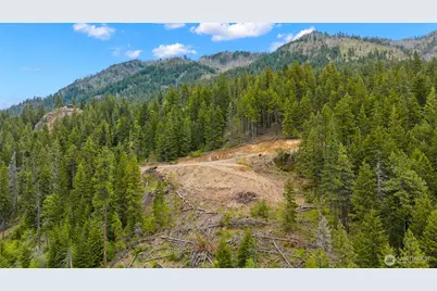 0 Morgan Creek, Ronald, WA 98940 - Photo 5