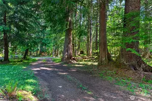 52225 SE 496th Pl, Greenwater, WA 98022 - Photo 33