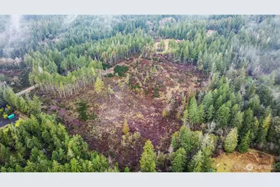 1809 208th Avenue SW, Longbranch, WA 98349 - Photo 3