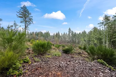 1809 208th Avenue SW, Longbranch, WA 98349 - Photo 17