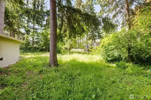 7201 9th Ct SE, Lacey, WA 98503 - Photo 39