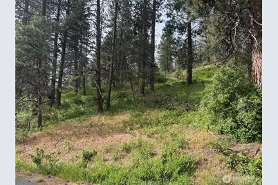 0 Xxx W 6th Street, Cle Elum, WA 98922 - Photo 5