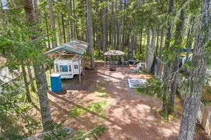 51 N Coho Ct, Hoodsport, WA 98548 - Photo 1